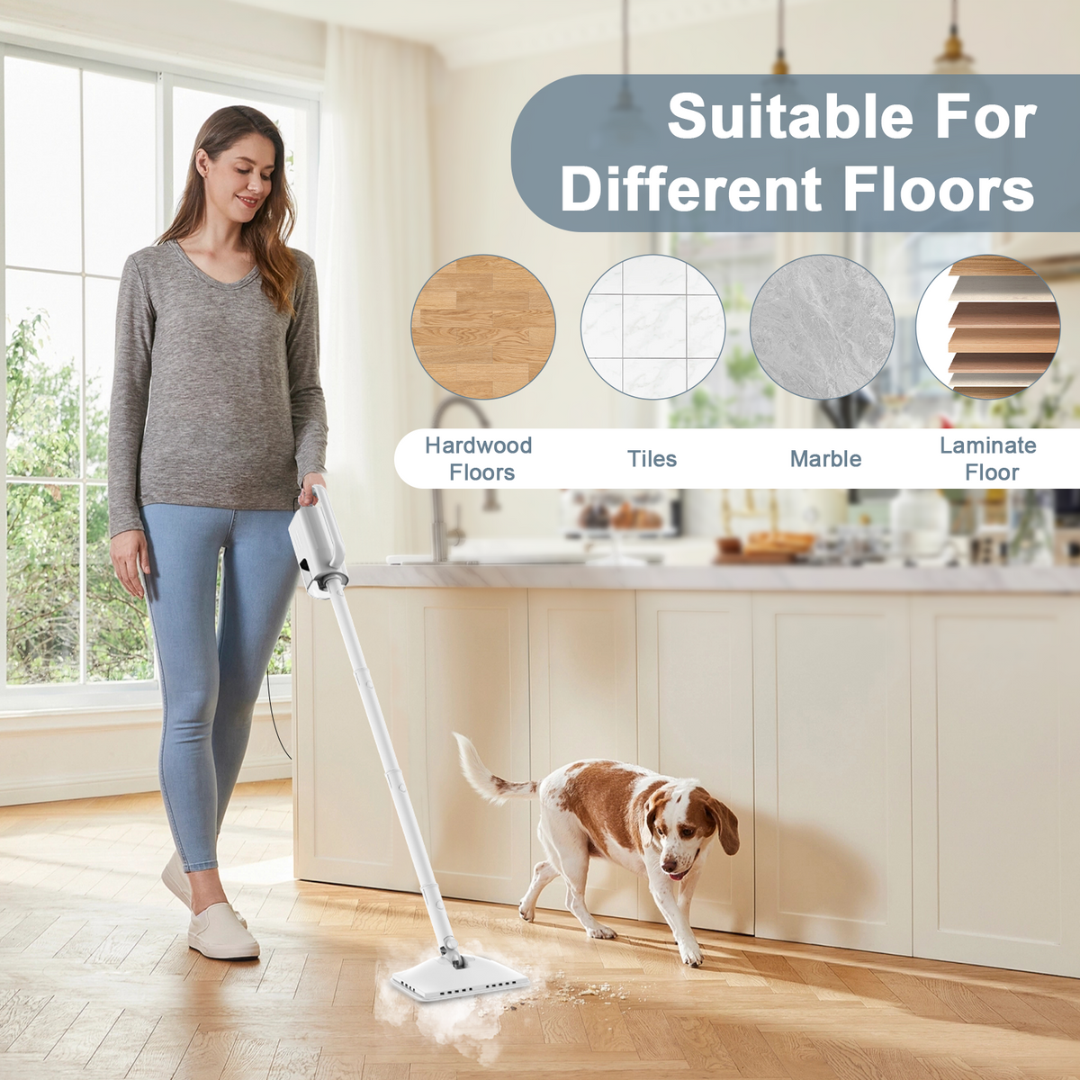 Teendow SC-05 Multi-Purpose Handheld Steam Cleaner Mop