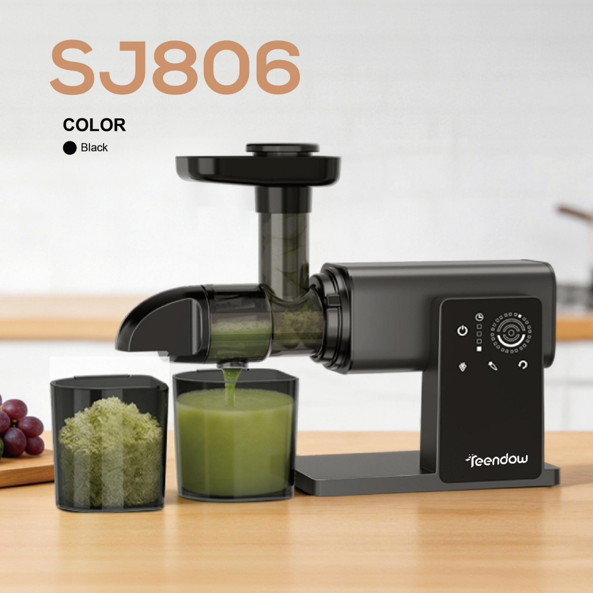 Teendow SJ806 200W 165-190 Rpm Horizontal Slow Juicer with Vegetable Chopping Function