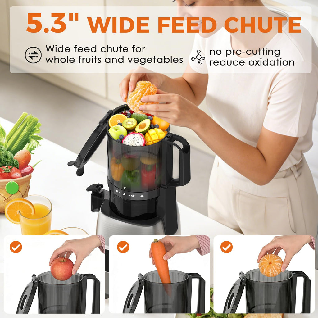 Teendow HGM-920 300W 10500rpm 135mm large-diameter Slow Juicer