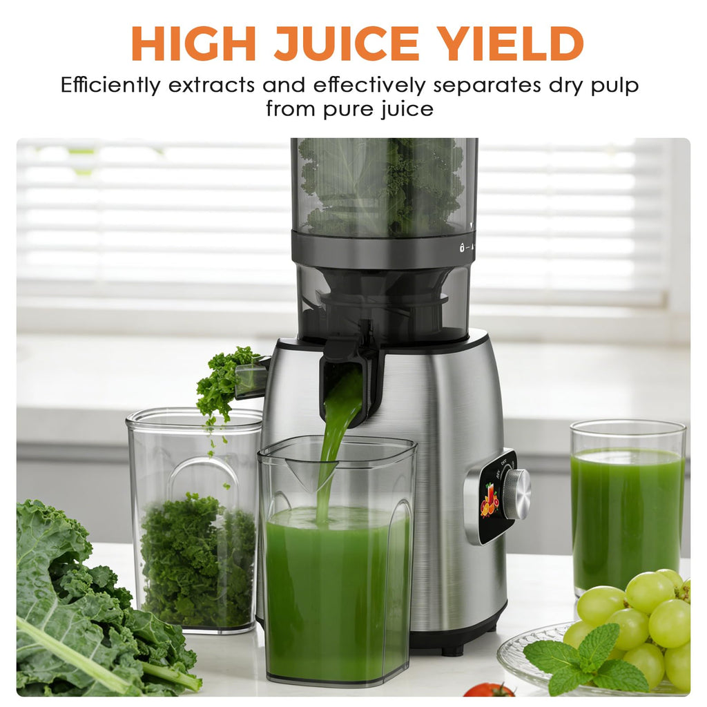 Teendow HGM-920 300W 10500rpm 135mm large-diameter Slow Juicer